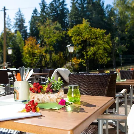 Haus Fuerstenberg 3* Beierfeld