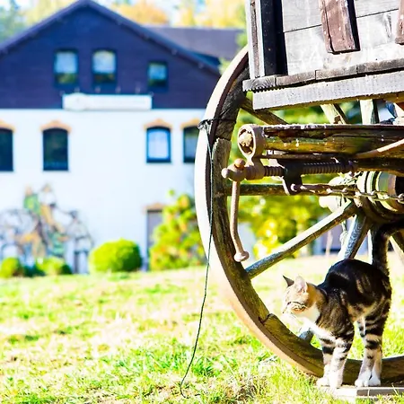 Haus Fuerstenberg Gæstehus