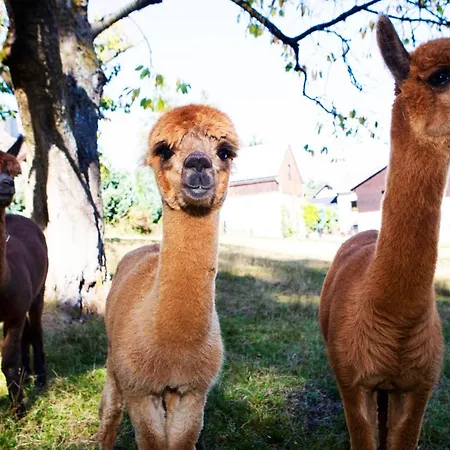 Gæstehus Haus Fuerstenberg
