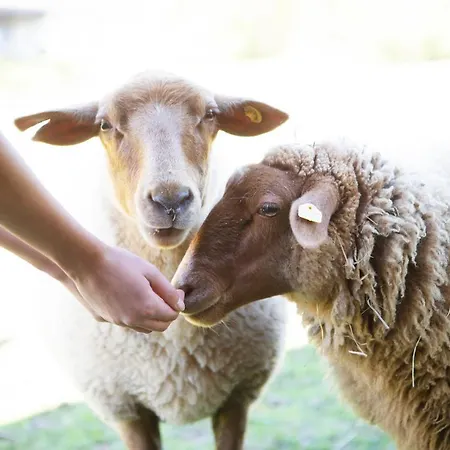 Haus Fuerstenberg 3*