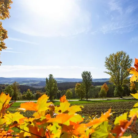 Gæstehus Haus Fuerstenberg Beierfeld