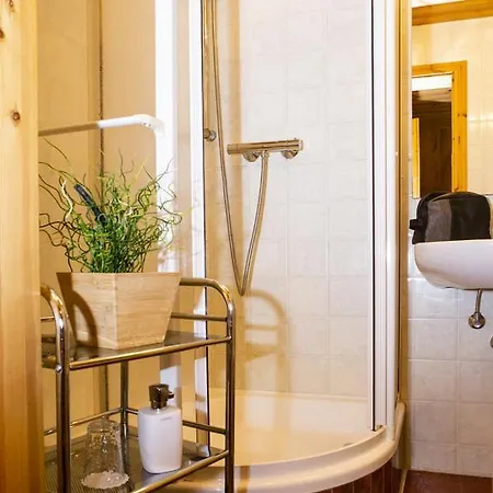 Haus Fuerstenberg Gæstehus Beierfeld