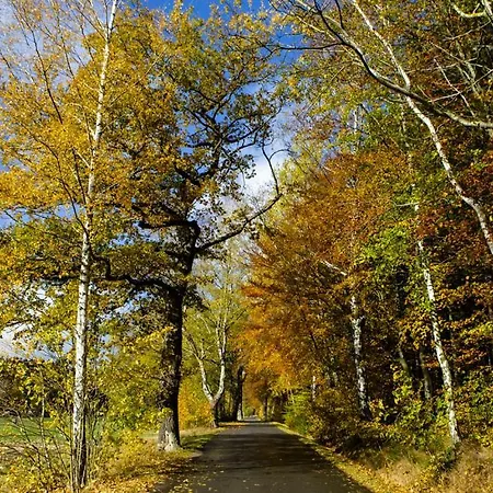Haus Fuerstenberg 3* Beierfeld