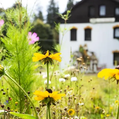 Haus Fuerstenberg Guest house *