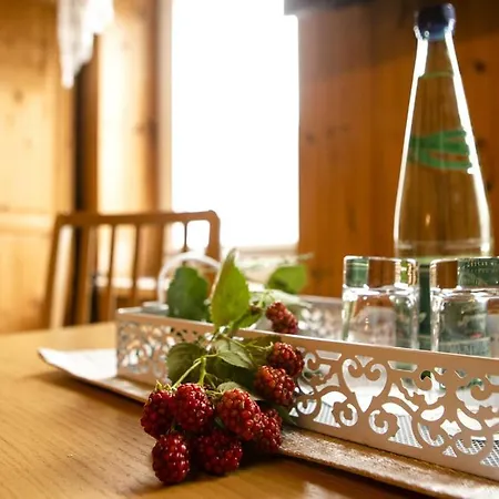 Gæstehus Haus Fuerstenberg Beierfeld