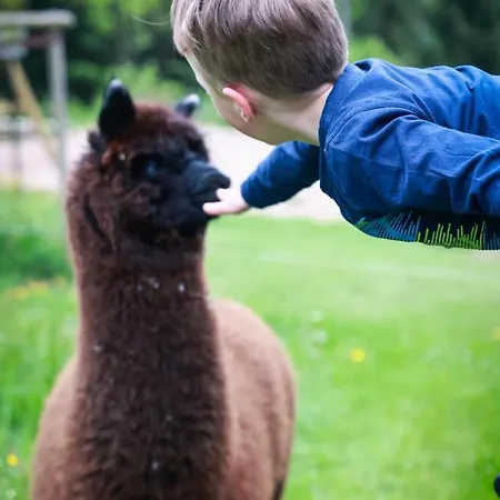 Gæstehus Haus Fuerstenberg 3*