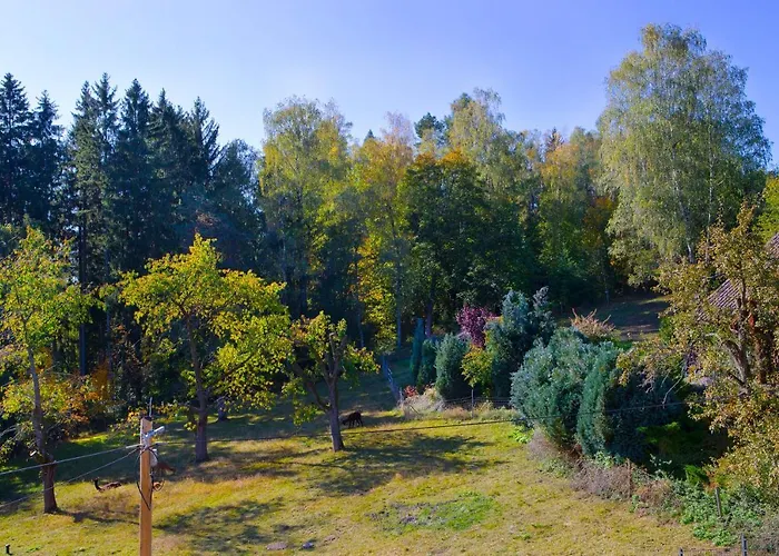 Haus Fuerstenberg بيت ضيافة Beierfeld