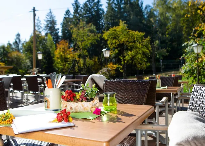 Haus Fuerstenberg 3* Beierfeld