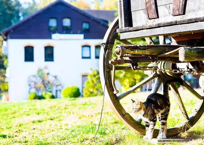 Haus Fuerstenberg بيت ضيافة