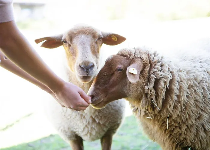 Haus Fuerstenberg 3*