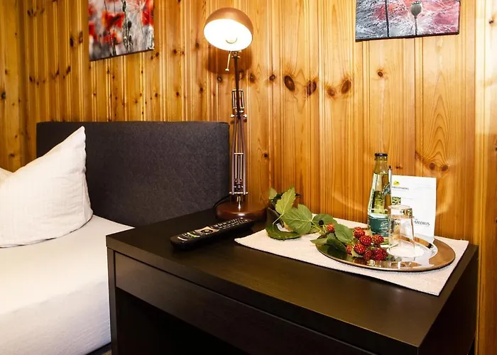 Haus Fuerstenberg بيت ضيافة