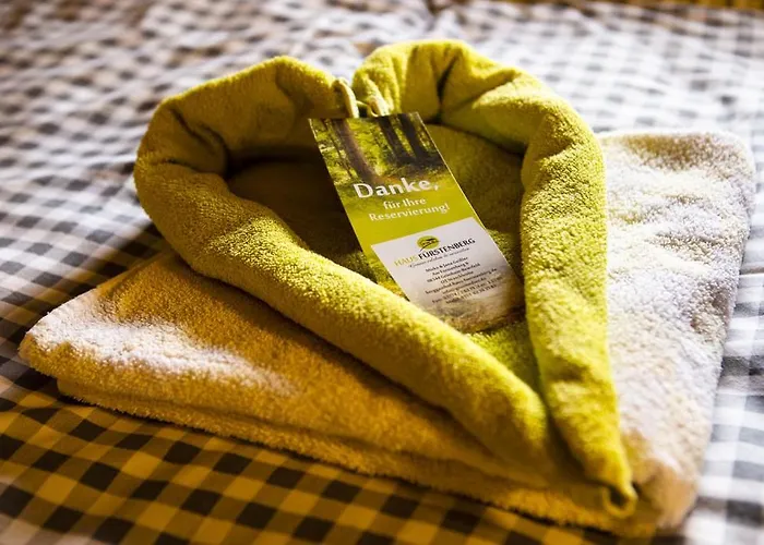 Haus Fuerstenberg بيت ضيافة 3*