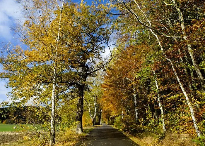 Haus Fuerstenberg 3* Beierfeld