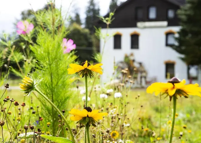 Haus Fuerstenberg Penzion 3*