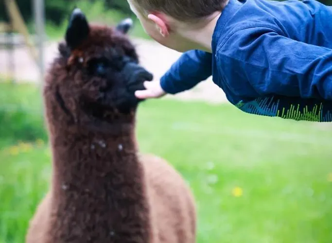 بيت ضيافة Haus Fuerstenberg 3*